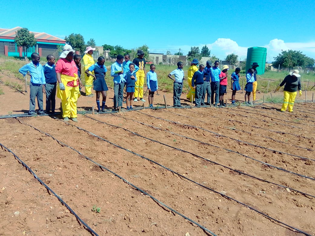 Kids agriculture training
